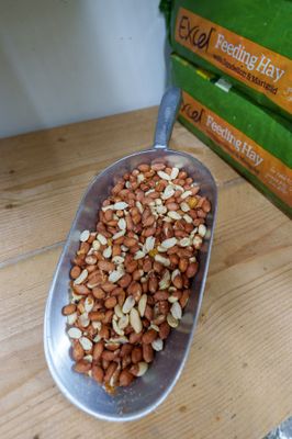 PEANUTS 25KG