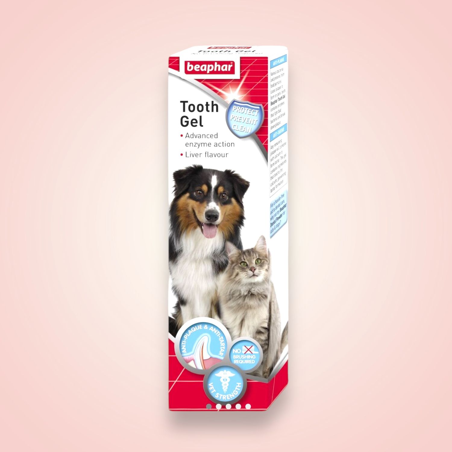 TOOTH GEL100G