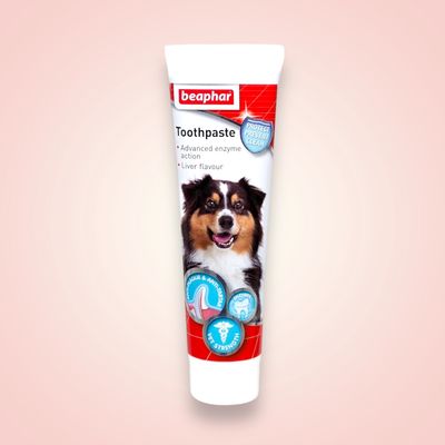 BEAPHAR DOG TOOTHPASTE 100G