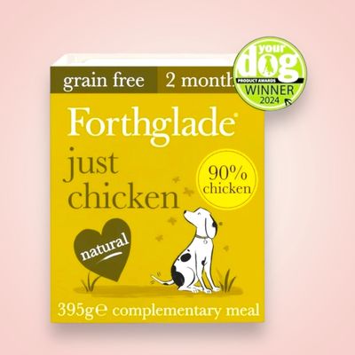 FORTHGLADE JUST CHICKEN 395G