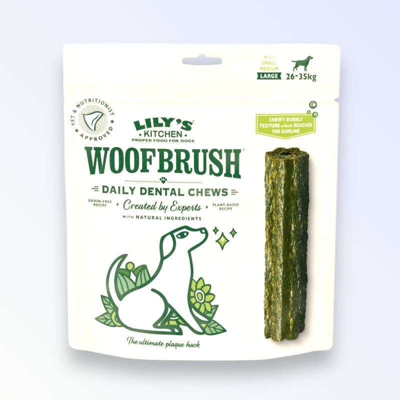 W/BRUSH GUT HEALTH DENTAL CHEW LRG