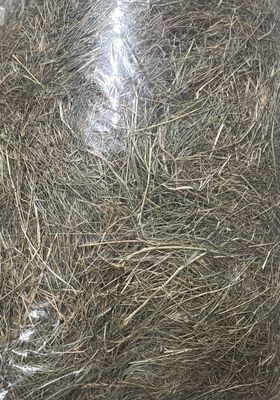 FARMERS MEADOW HAY