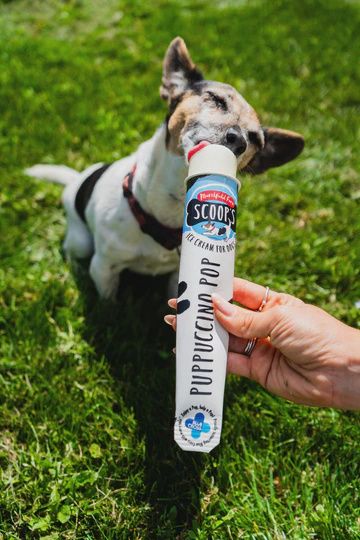 SCOOPS PUPPUCINO POP