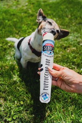 SCOOPS PUPPUCINO POP