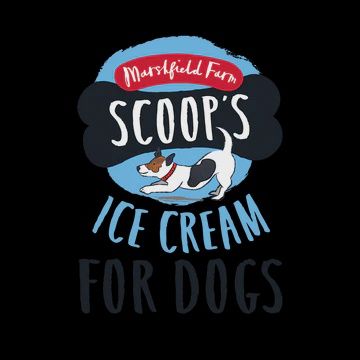 SCOOPS VANILLA DOG ICE CREAM 125ML
