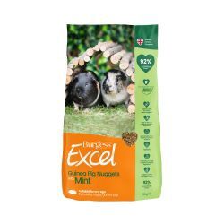 GUINEA PIG EXCEL WITH MINT