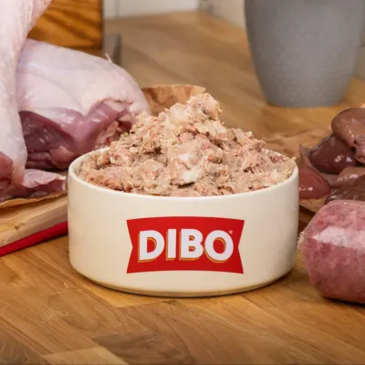 Dibo Raw