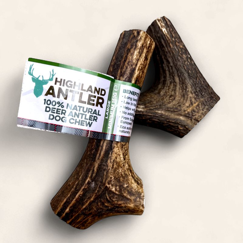 ANTOS ANTLER LARGE (min 150g)