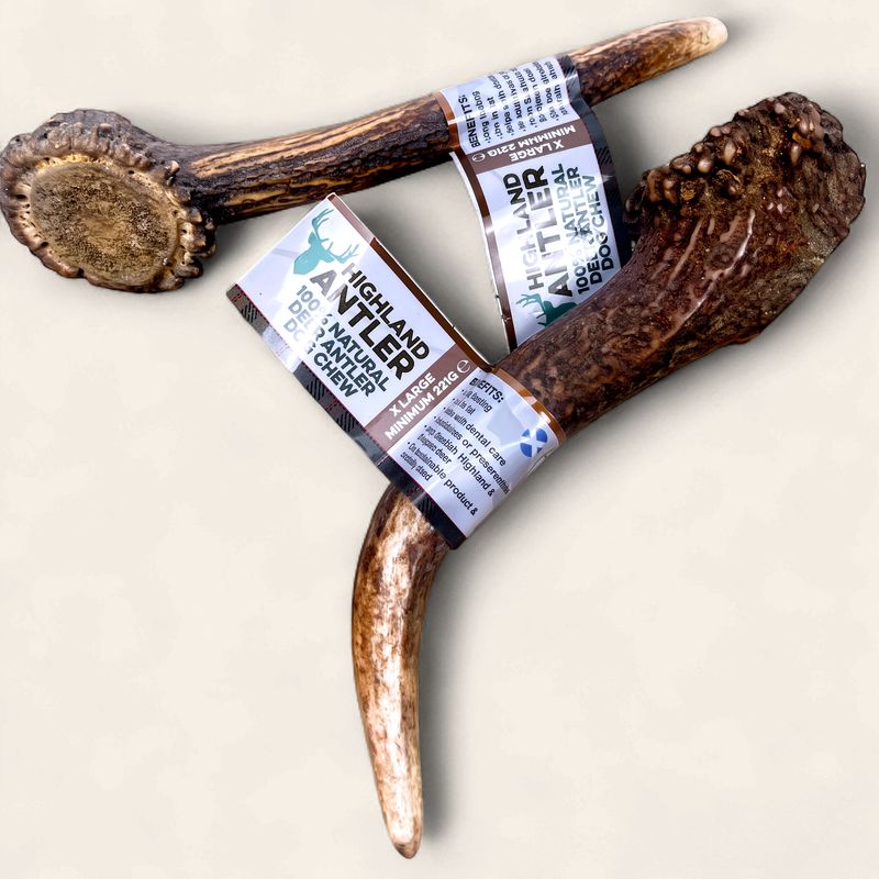 ANTOS ANTLER XL (min 220g)