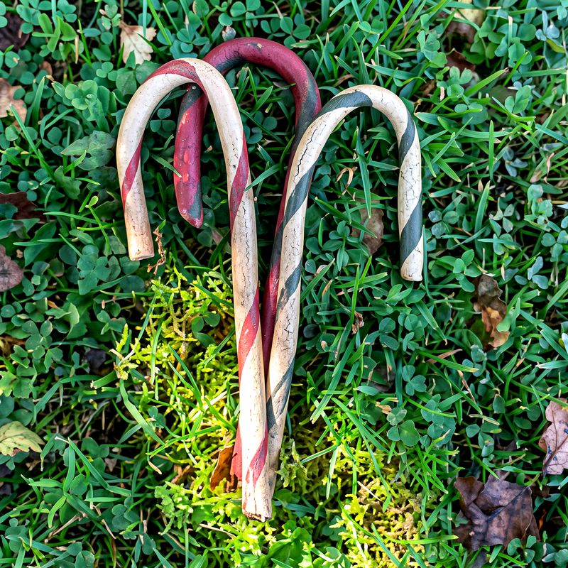 ANTOS CANDY CANE FOR DOGS