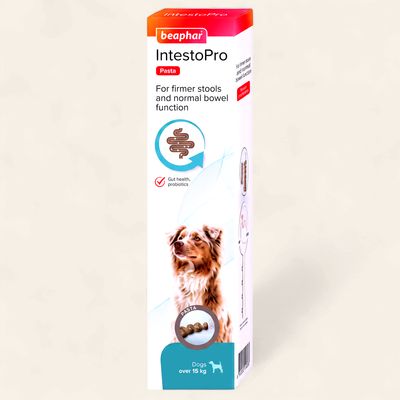 BEAPHAR INTESTOPRO PASTE FOR DOGS 2x20ML 15KG UP
