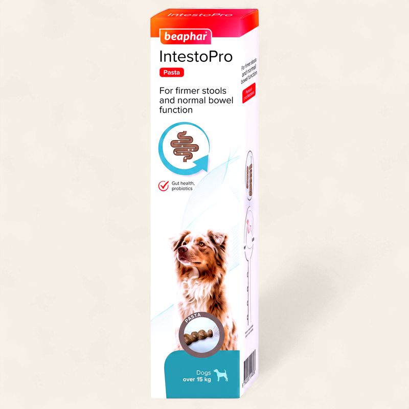 BEAPHAR INTESTOPRO PASTE FOR DOGS 2x20ML 15KG UP