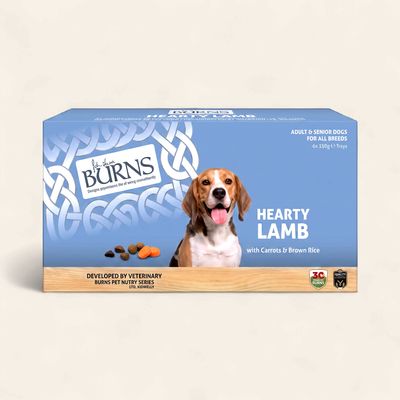 BURNS HEARTY LAMB WET 395G