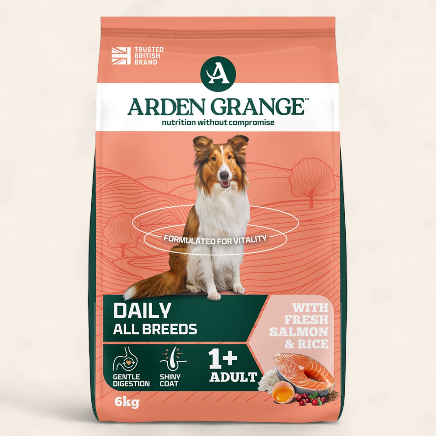 ARDEN GRANGE DOG ADULT SALMON 6KG