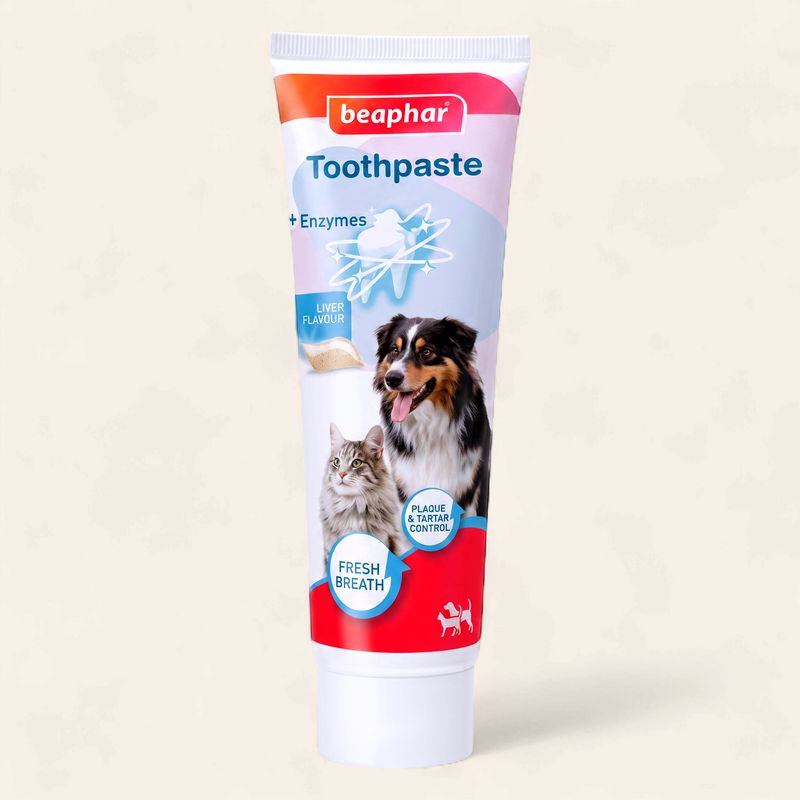 BEAPHAR DOG TOOTHPASTE 100G