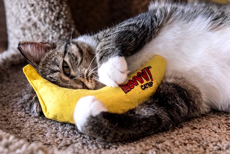 YEOWWW BANANA