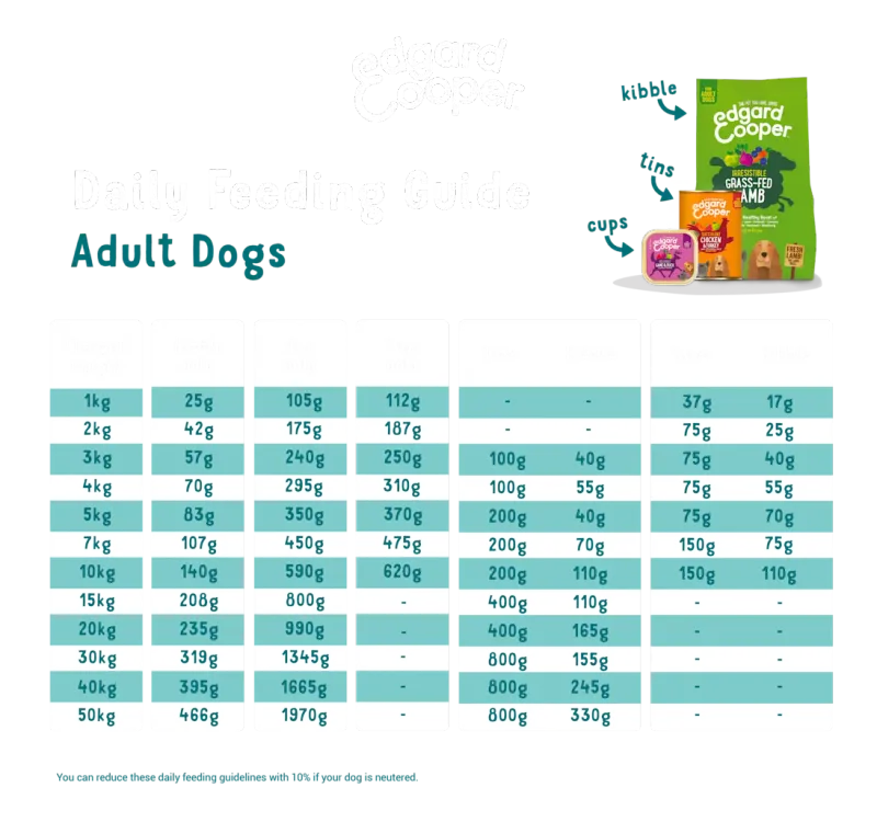 EDGARD COOPER DOG 400G TIN (CHICKEN &amp; TURKEY)