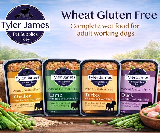 TYLER-JAMES DOG WET FOOD TRAYS 395G