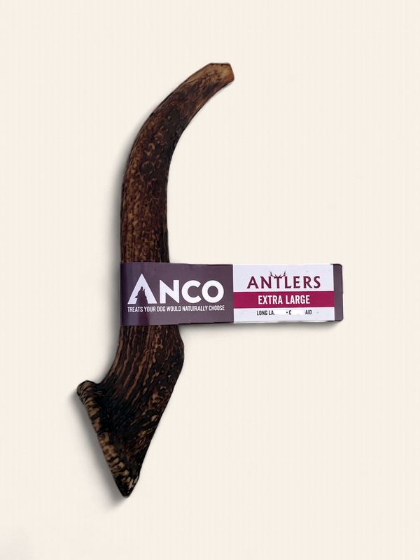 ANCO ANTLER (X-LARGE)
