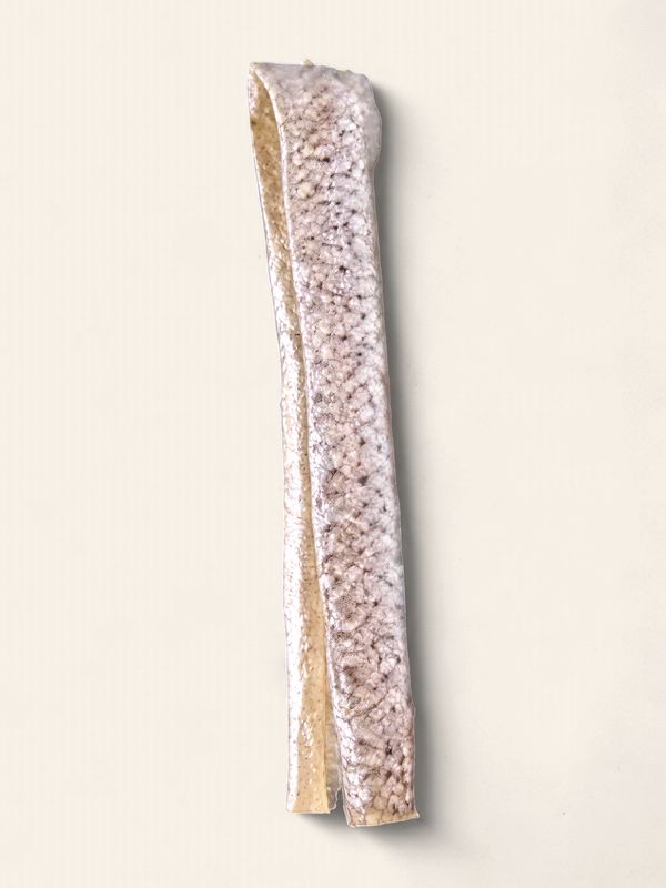 ANCO OCEANS SALMON SKINS