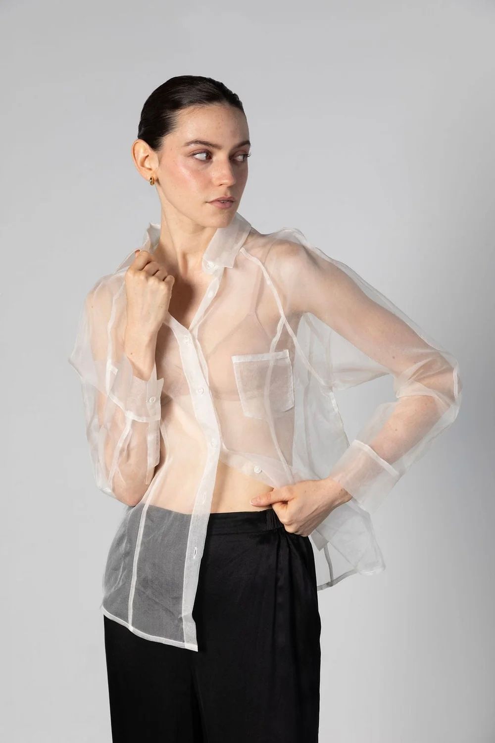 Sheer Organza Silk Top