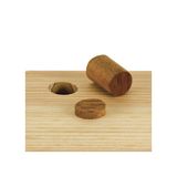 Trend 9.5 Snappy Plug Cutter SNAP/PC/38