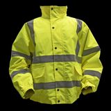 Sealey Worksafe® Hi-Vis Yellow Jacket with Quilted Lining, Elasticated Waist & Cuffs - Large