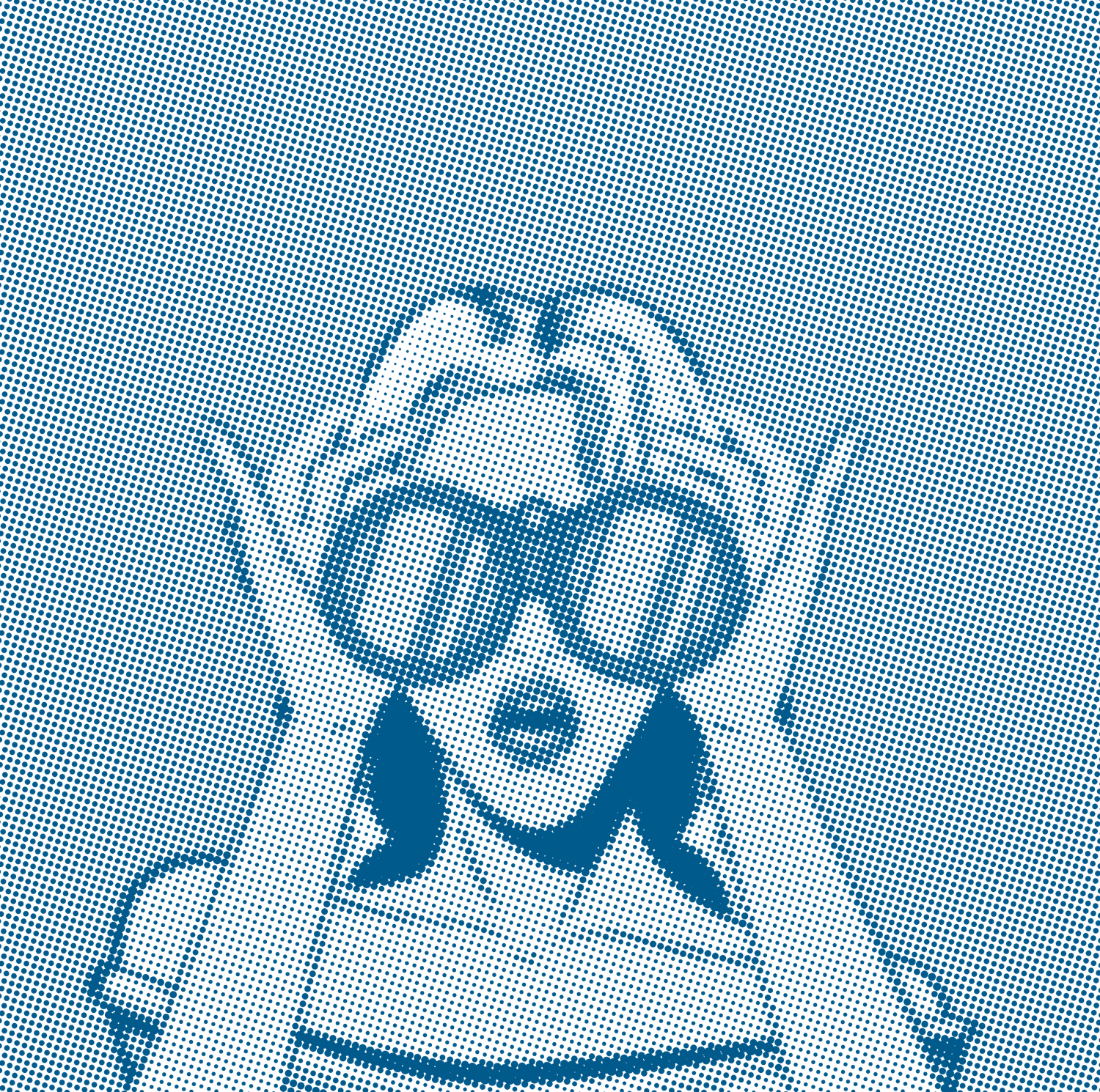 Option 02