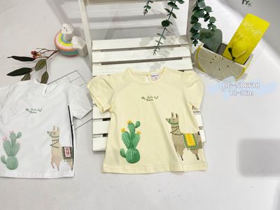 lotto primavera estate