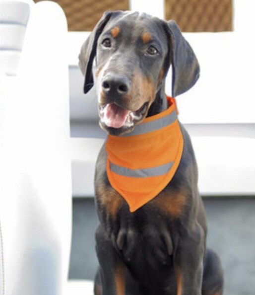 Refleks bandana orange