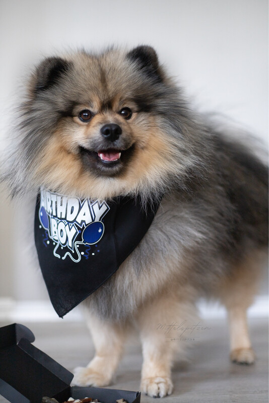 Bandana birthday boy, eller birthday girl