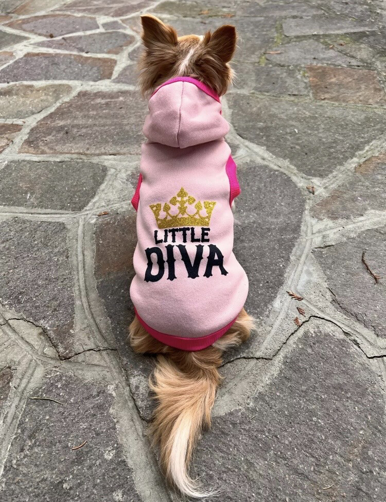 Superfin Diva hettegenser