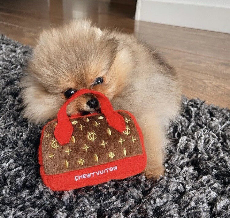 Chewy Vuiton Veske Leke med Pip X Small 