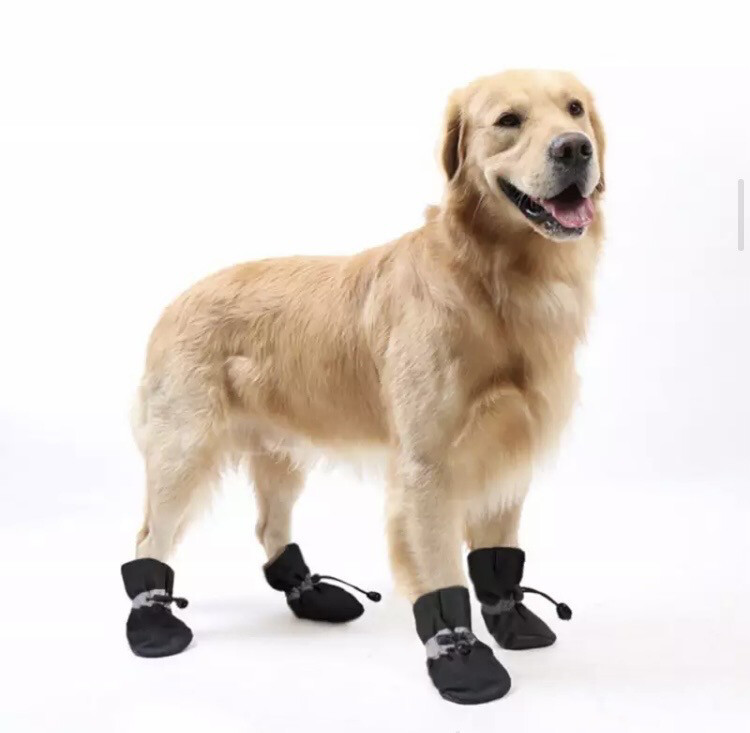 Myke hundesokker med foring.