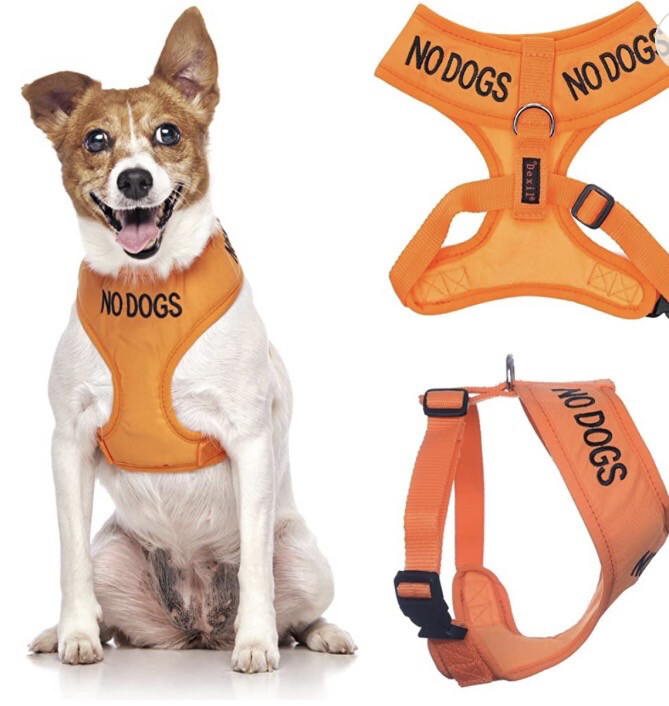 Sele «no dogs»