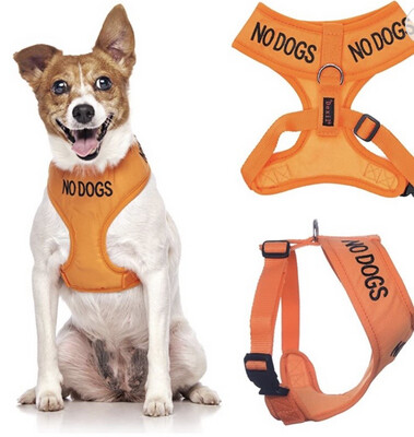 Sele «no dogs»