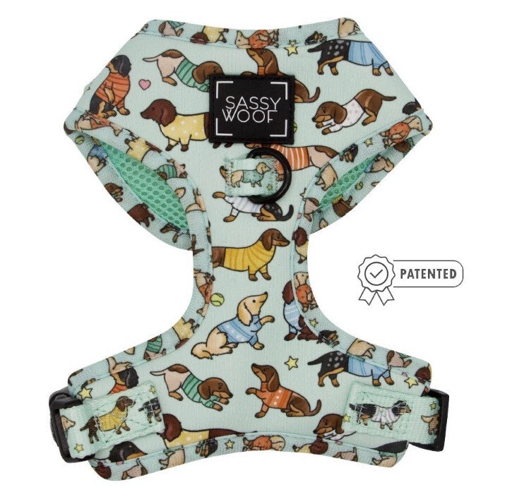 Dachs Sele Fra Sassy Woof,
