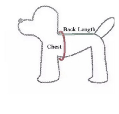 Zooland Regndekken ( Second hand) Lengde 32 Cm, Bryst 40-50 Cm