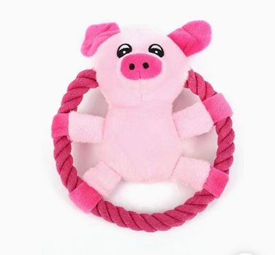 Frisbee leke med Tau Og pip