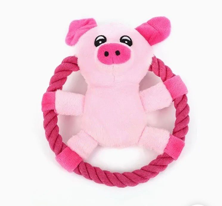 Frisbee leke med Tau Og pip