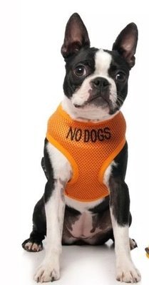 Sele «no dogs»