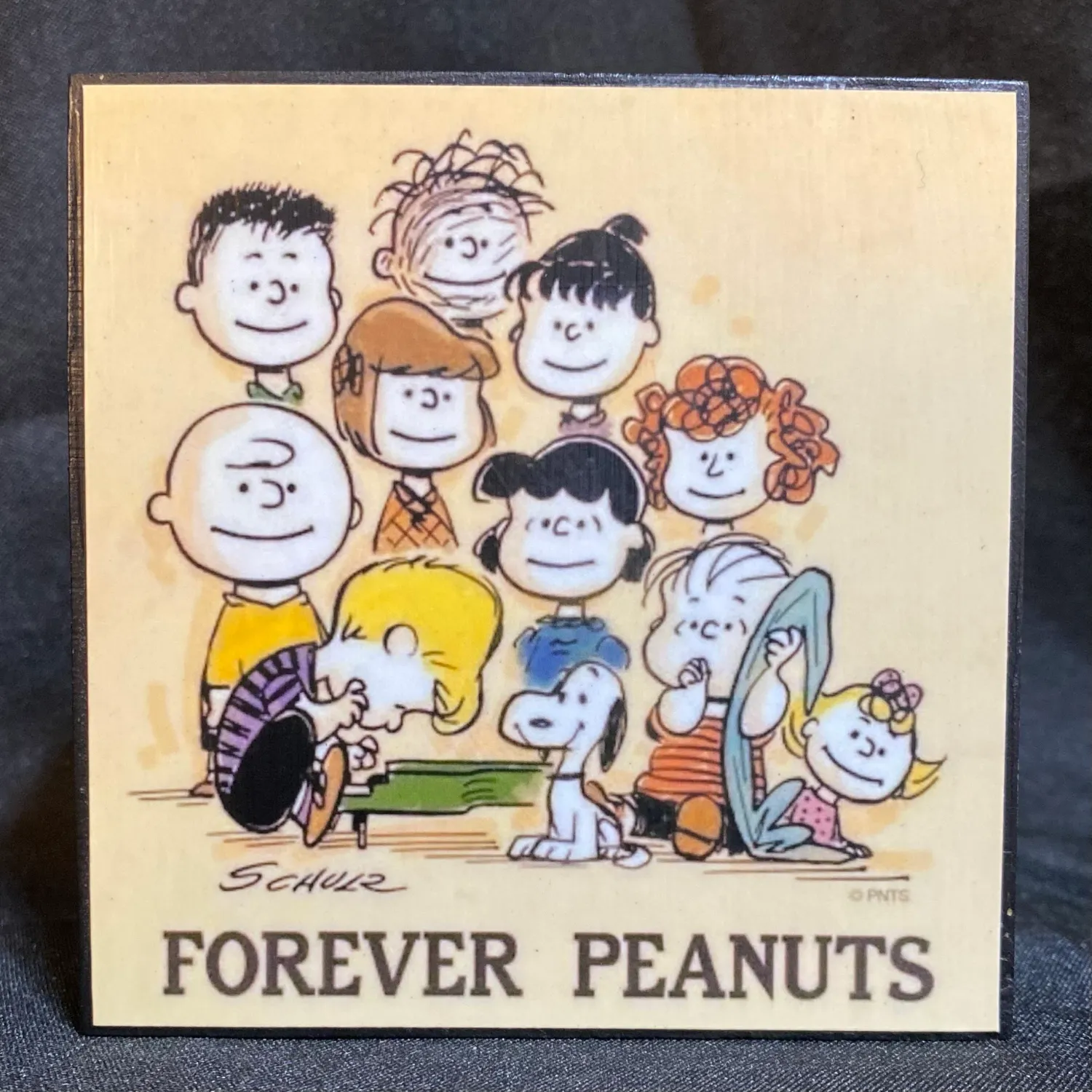 Peanuts Gang home decor blocks