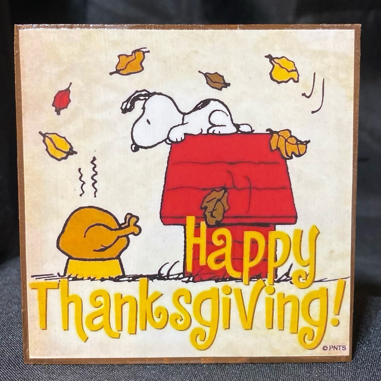 Snoopy Thanksgiving &amp; Fall