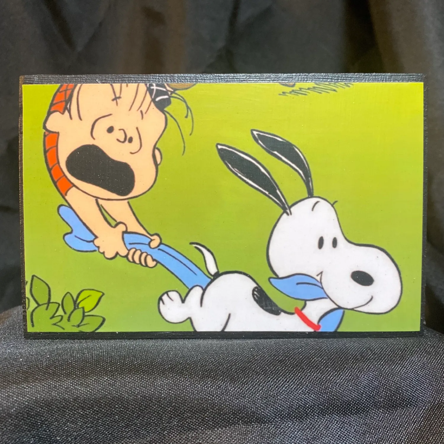 Linus &amp; Snoopy