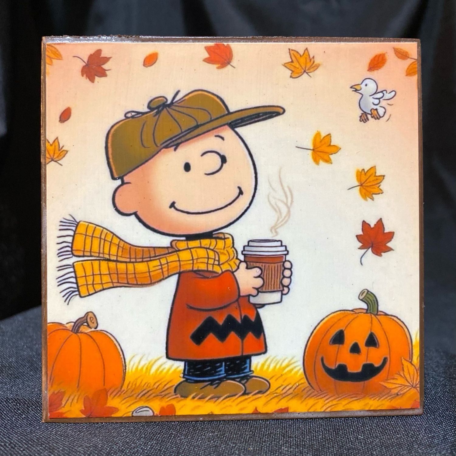 Fall Time Charlie Brown