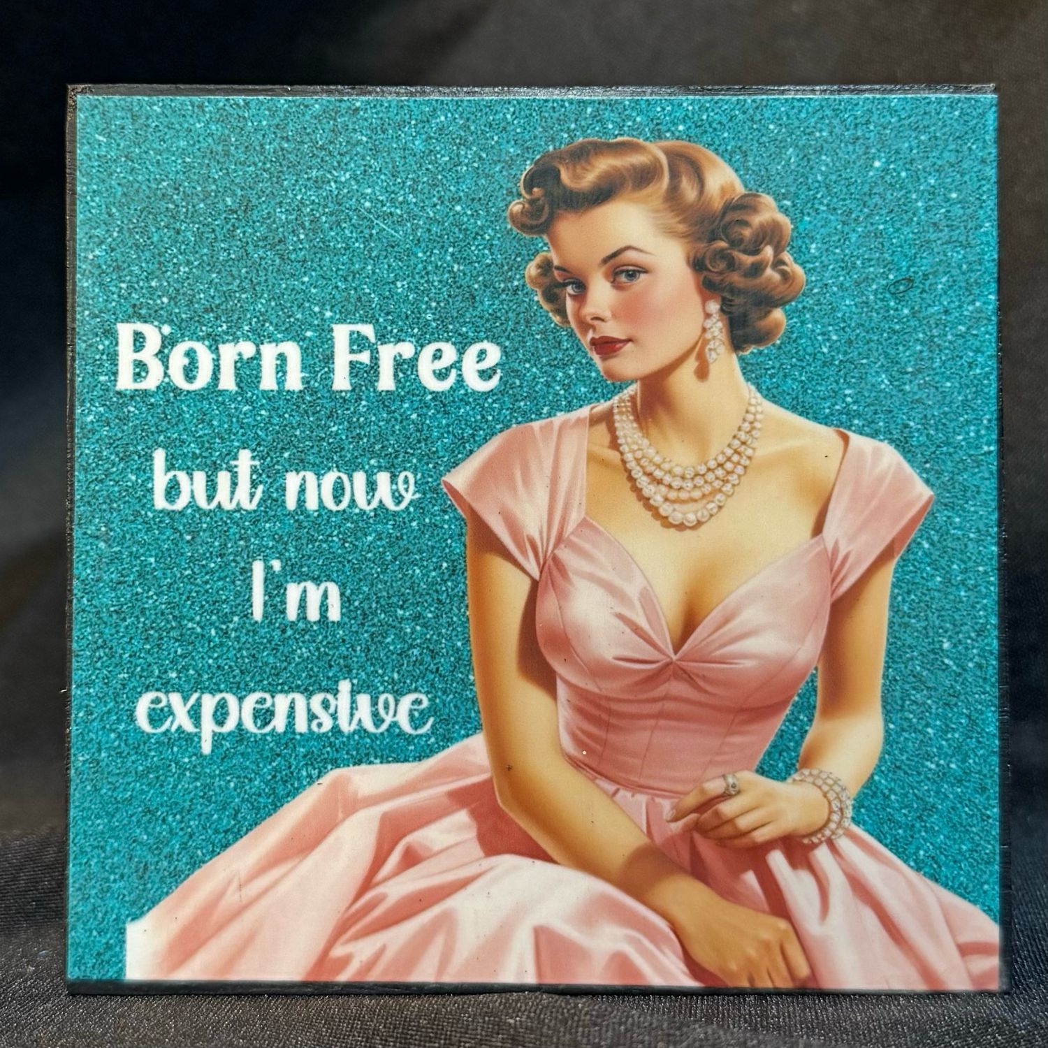Vintage Snarky Housewives