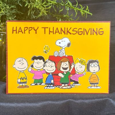 Peanuts Thanksgiving home decor blocks