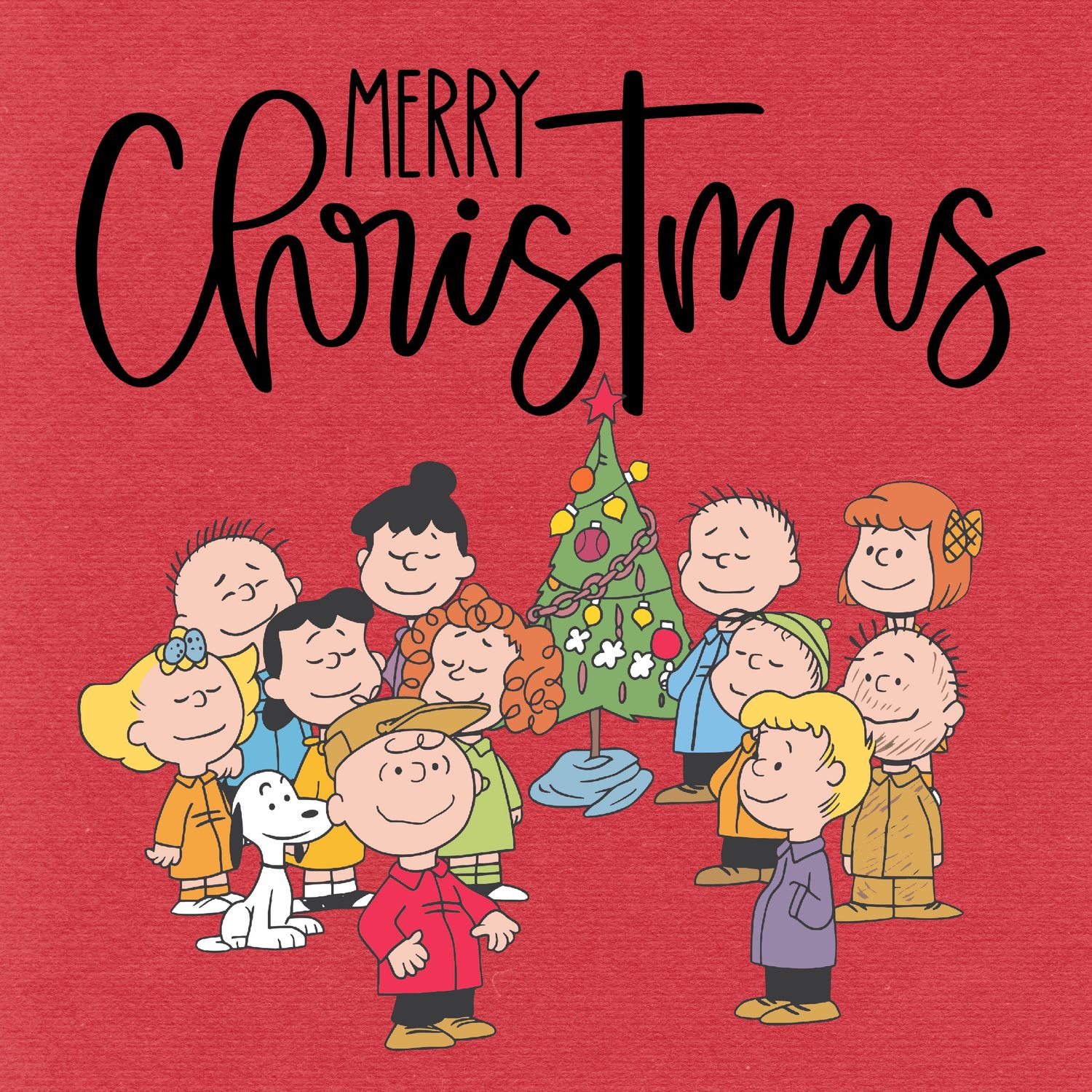 Peanuts Christmas home decor blocks