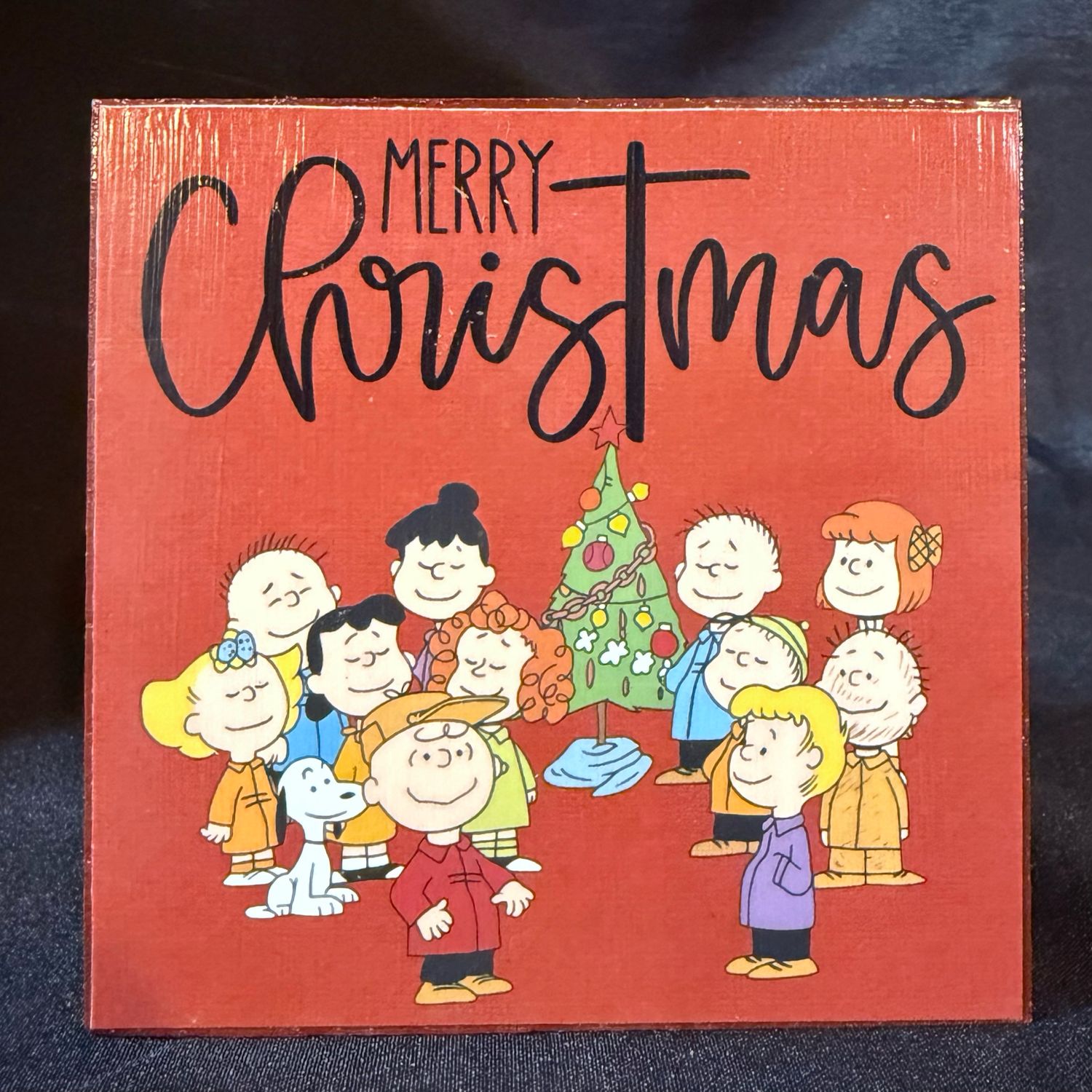 Peanuts Christmas home decor blocks
