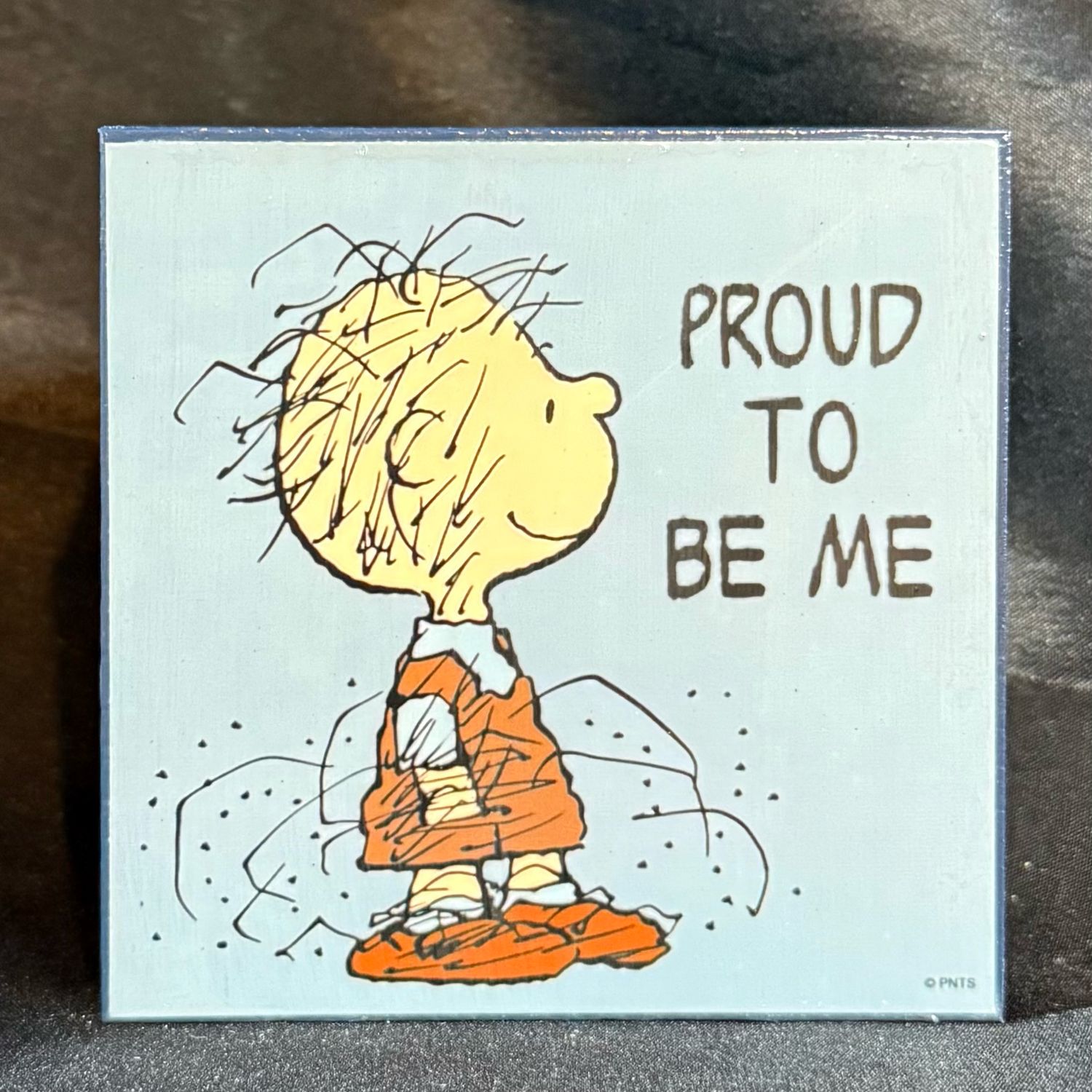 Pig Pen home decor blocks